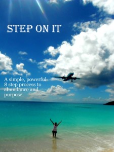 sxm-plane-beach